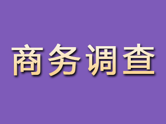 璧山商务调查